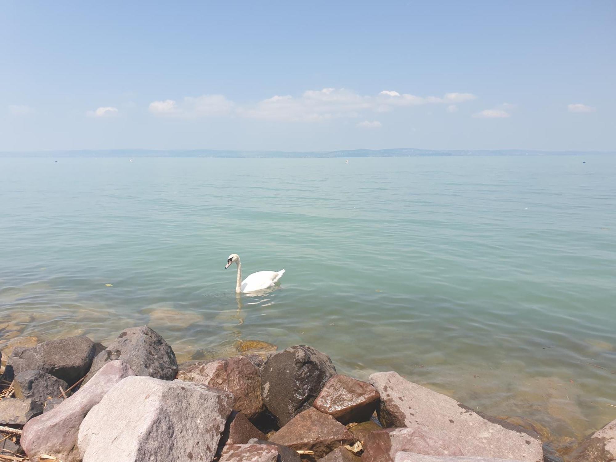 Balaton Lakeside Residence Siofok Luaran gambar